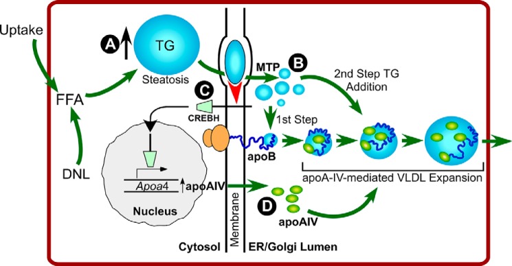 FIGURE 6.