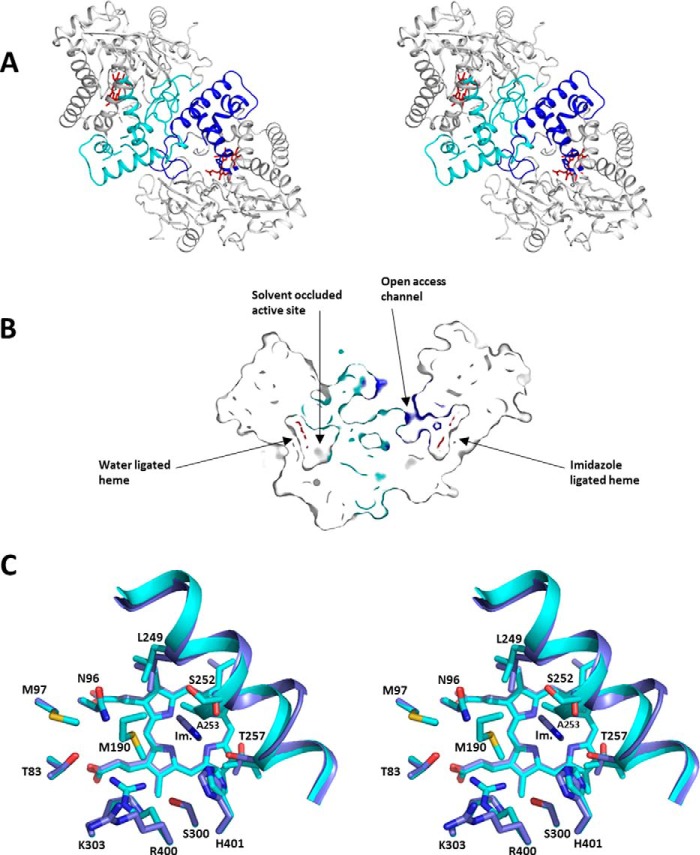 FIGURE 10.