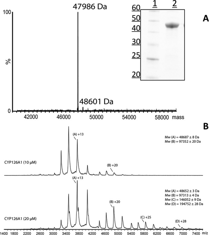 FIGURE 1.