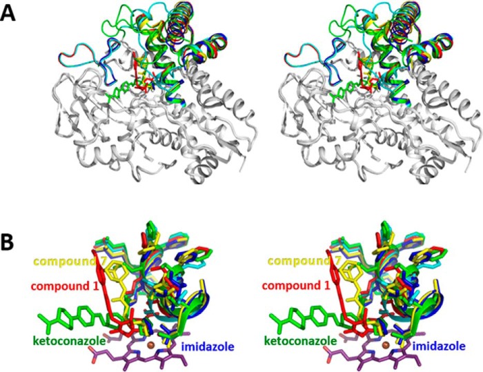 FIGURE 12.