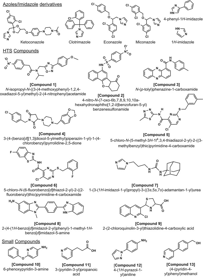 FIGURE 4.