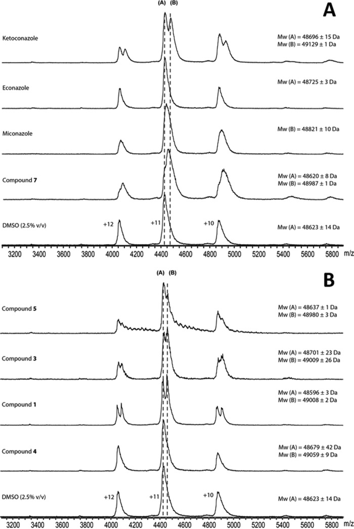 FIGURE 9.