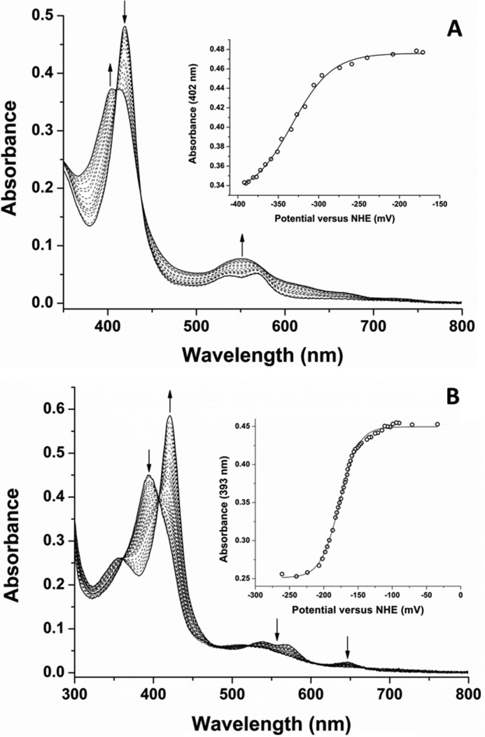 FIGURE 7.