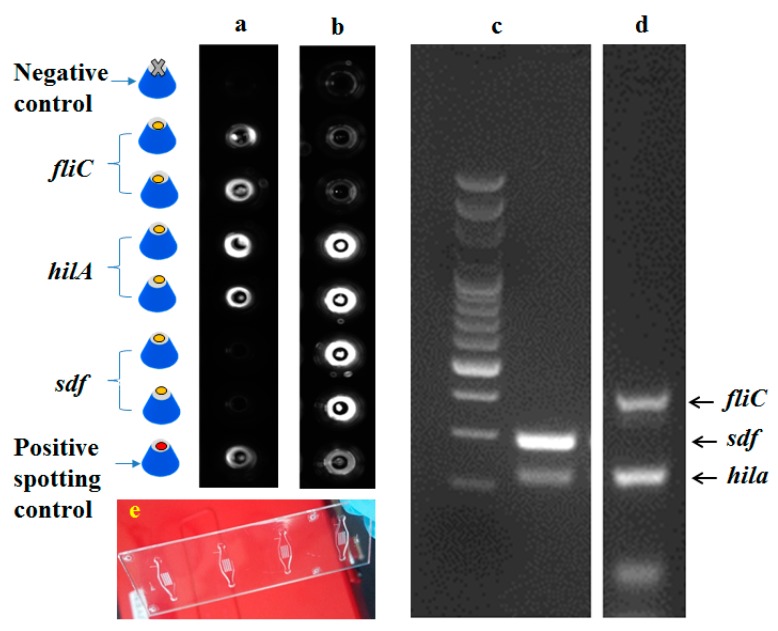 Figure 10