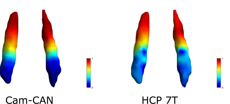 Figure 1—figure supplement 2.