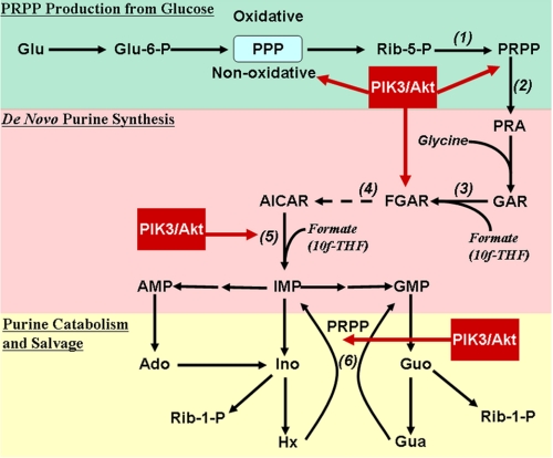 FIGURE 1.