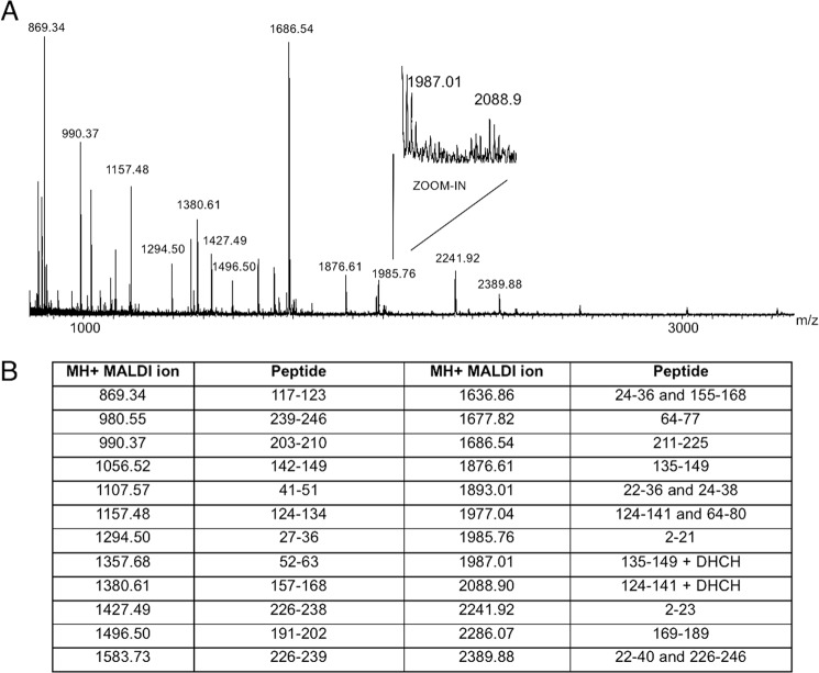 FIGURE 10.