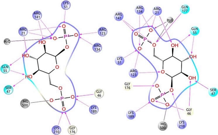 FIGURE 3.