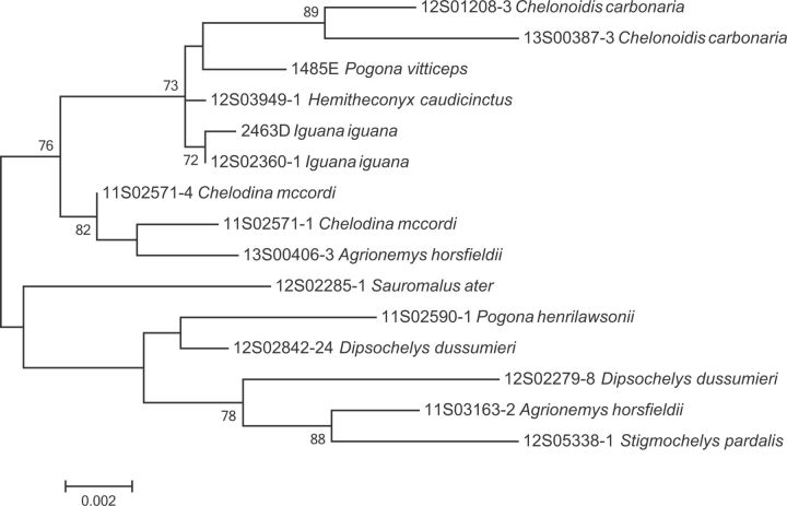 Fig. 2.—