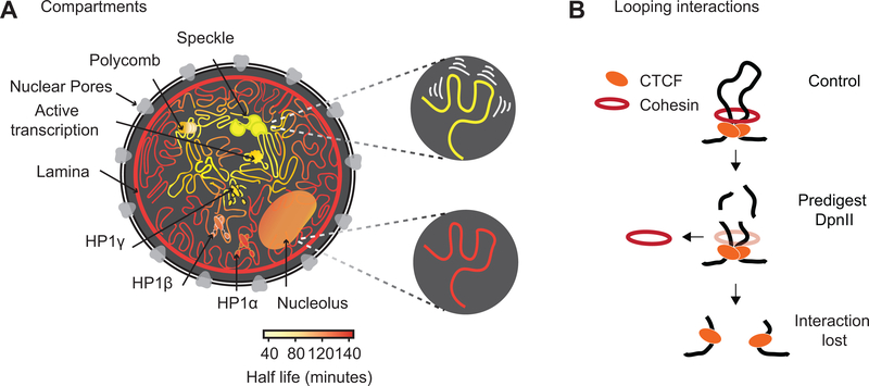 Fig. 7: