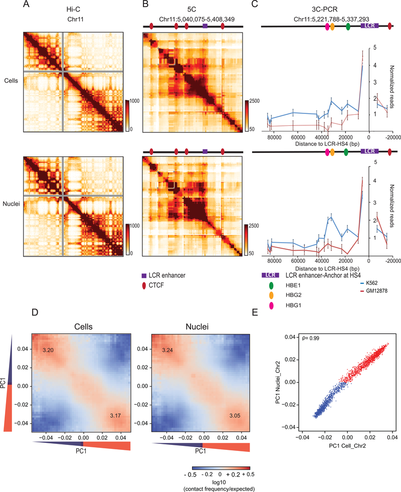 Extended Data Fig. 1: