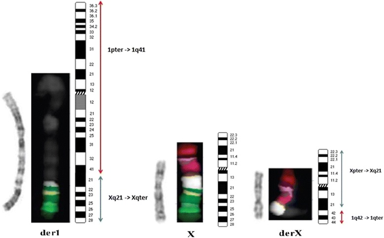 Fig. 2