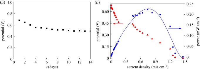 Figure 5.