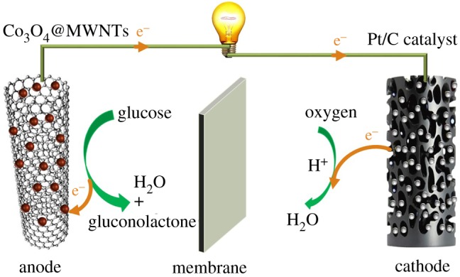 Scheme 1.