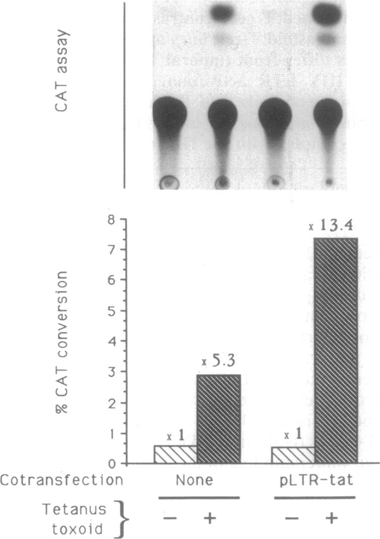 graphic file with name pnas01045-0073-a.jpg