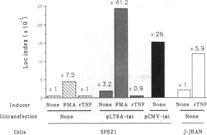 graphic file with name pnas01045-0074-a.jpg