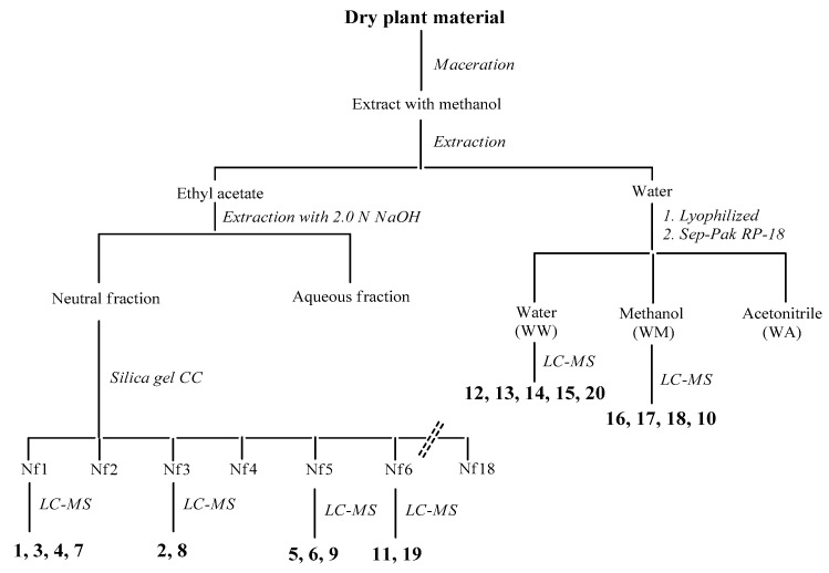 Scheme 1