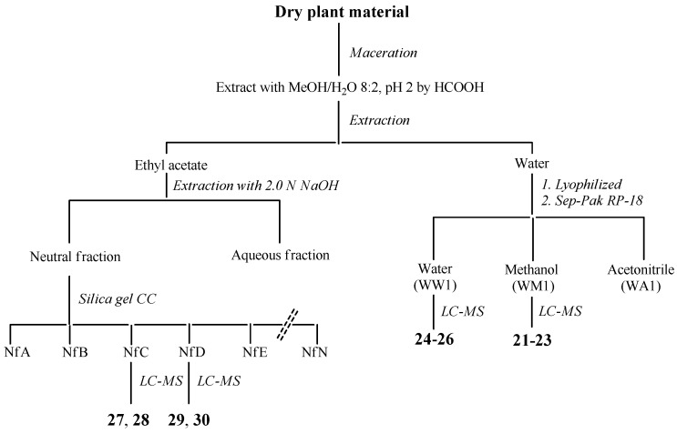 Scheme 2