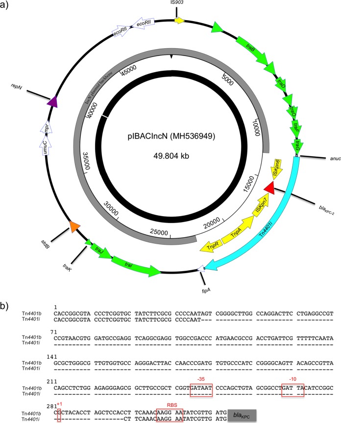 FIG 1