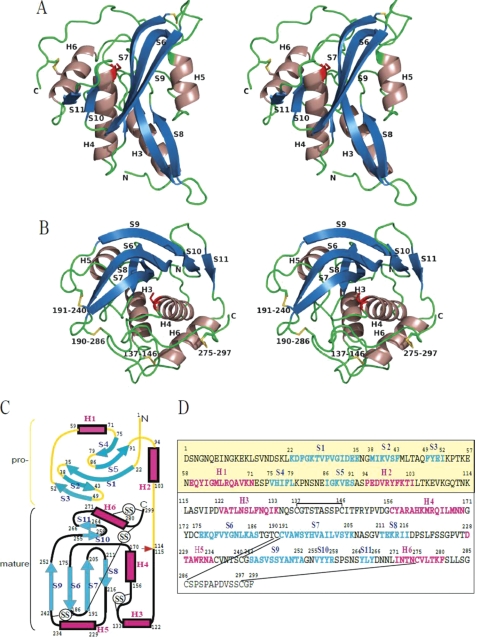 FIGURE 1.