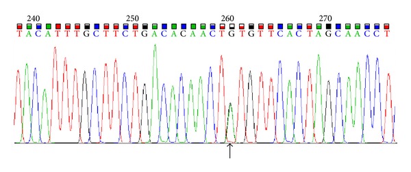 Figure 2