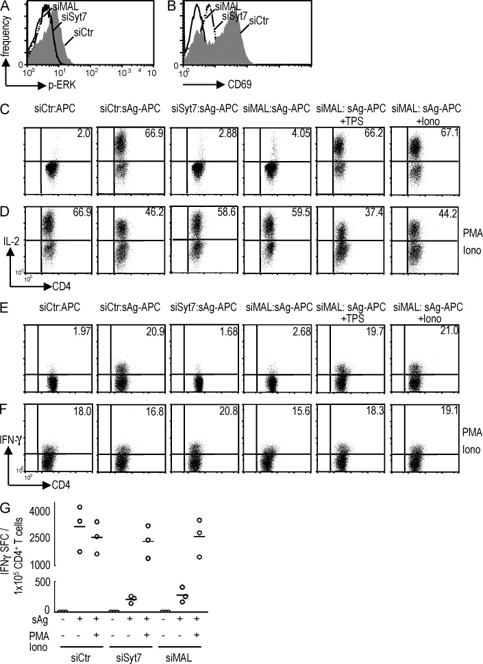 Figure 10.