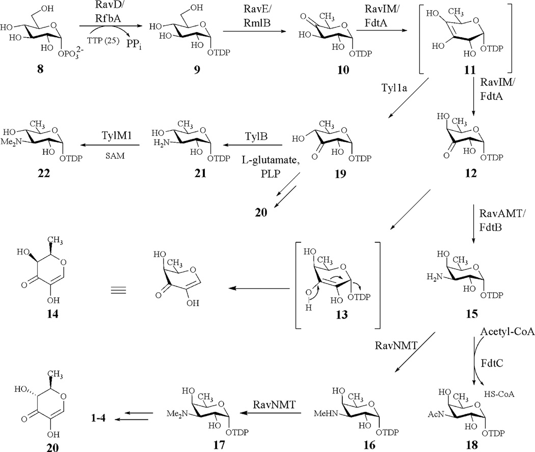 Scheme 1