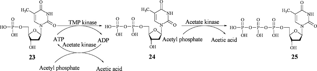 Scheme 2