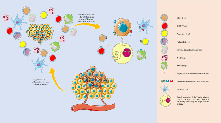 Figure 6