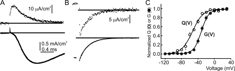 Figure 2.