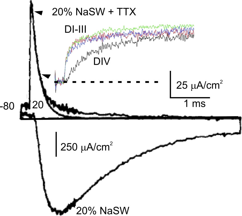 Figure 5.