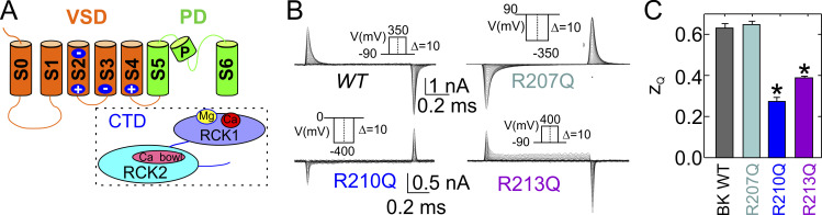 Figure 10.