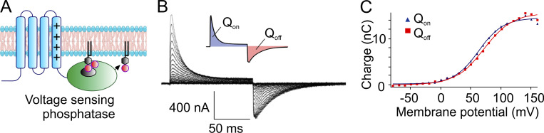 Figure 12.