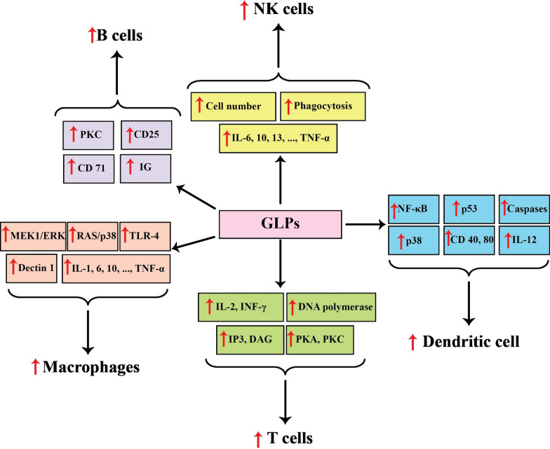 Fig.1