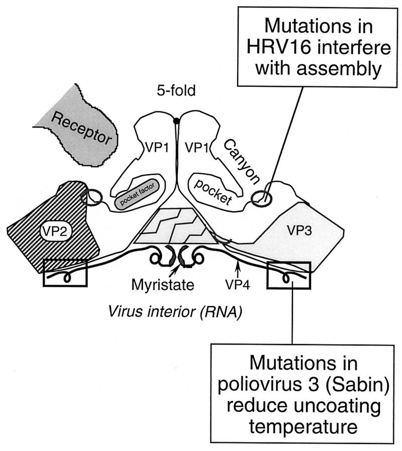 FIG. 7