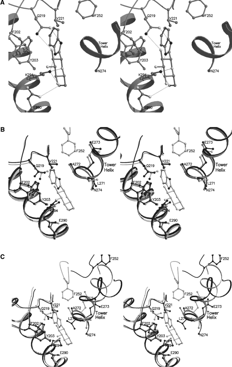 Figure 7.