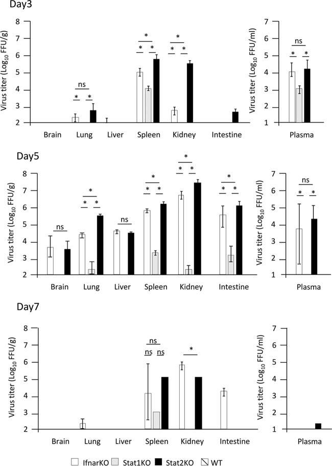 FIG 2