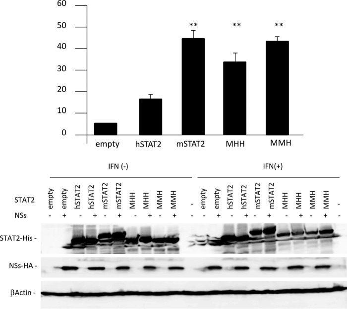 FIG 6