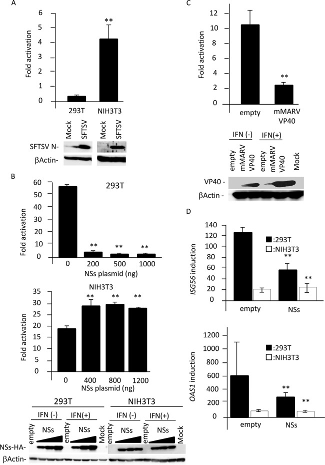 FIG 3