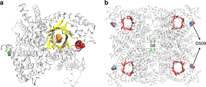 Fig. 7