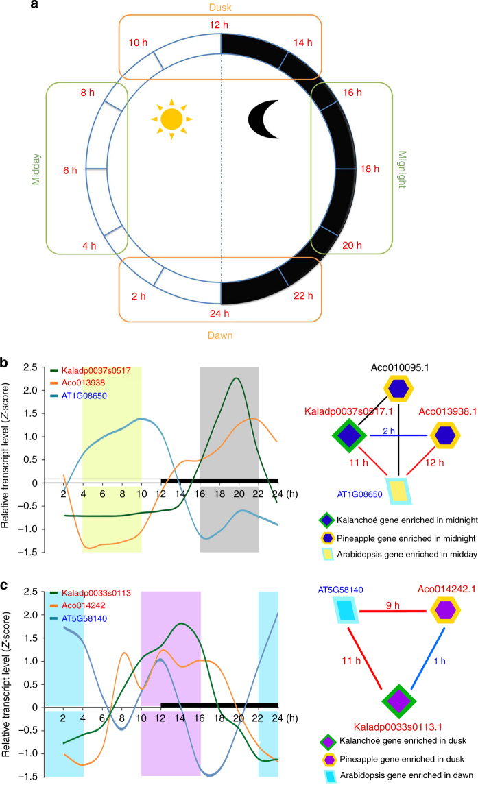 Fig. 4