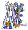 Fig. 4 |