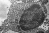 310-1