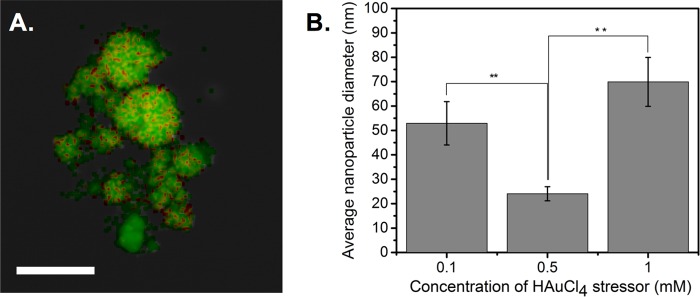 FIG 6