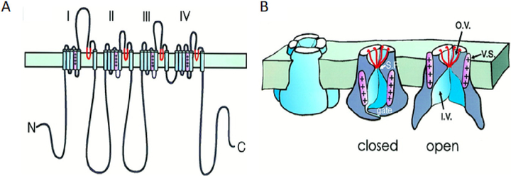 Fig. 2.