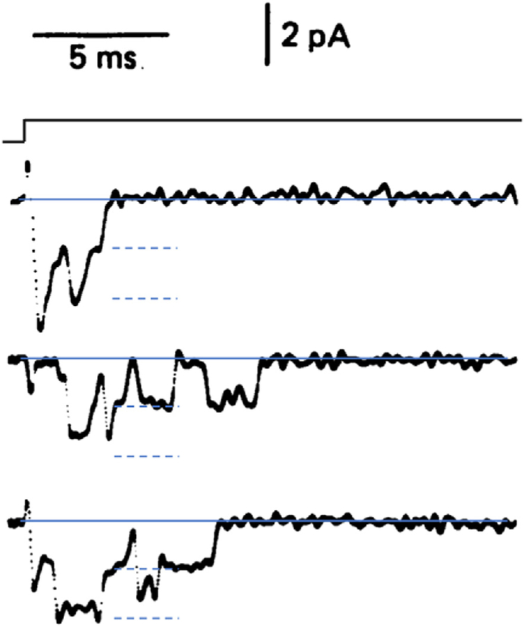 Fig. 1.