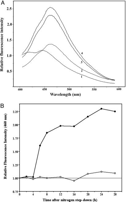 Fig. 7.