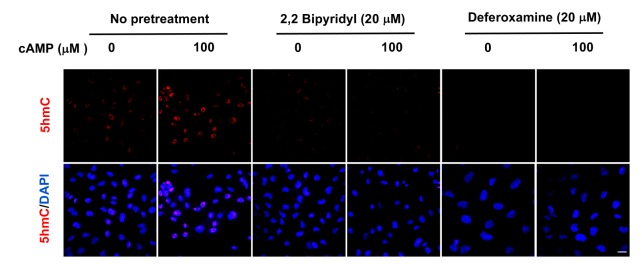 Figure 3—figure supplement 3.