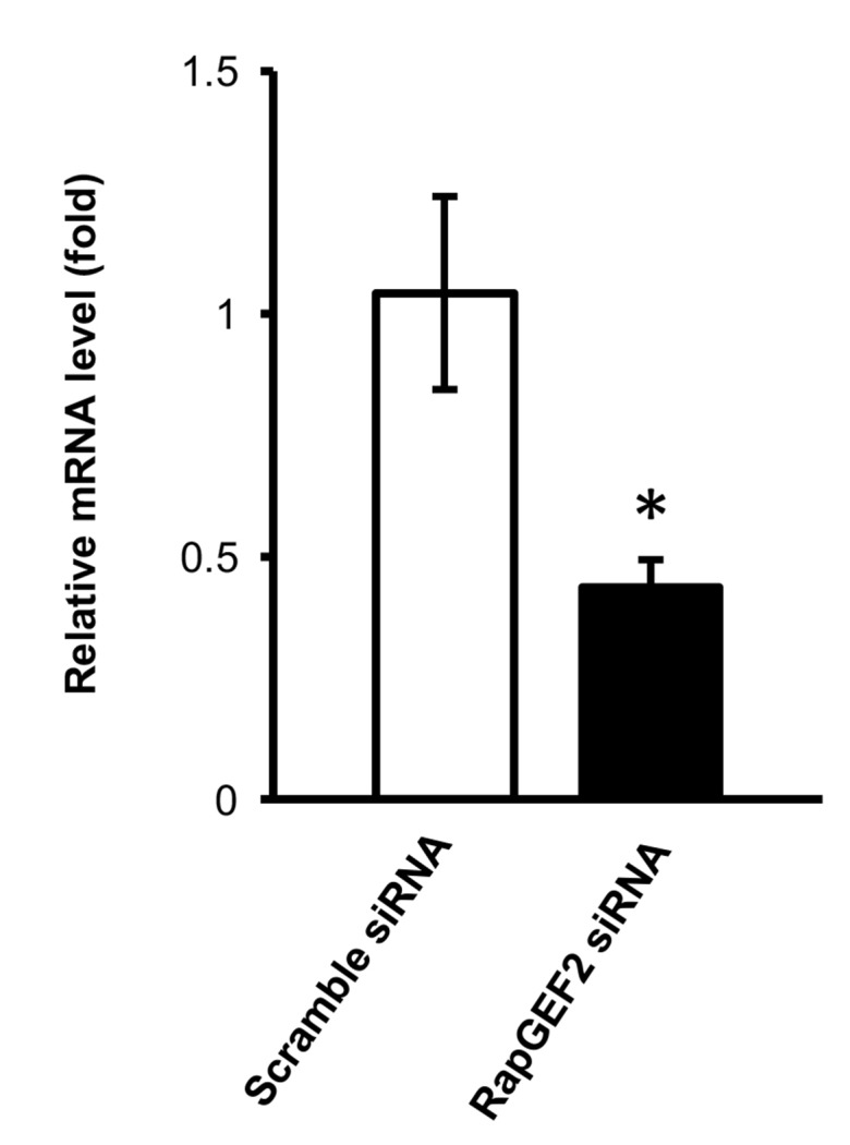 Figure 5—figure supplement 2.