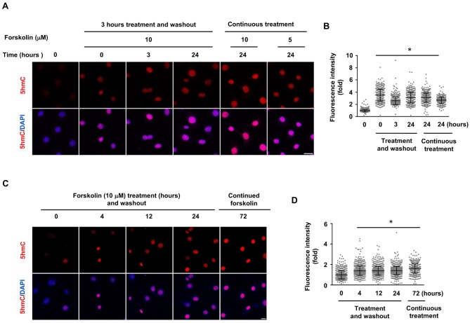 Figure 1—figure supplement 2.